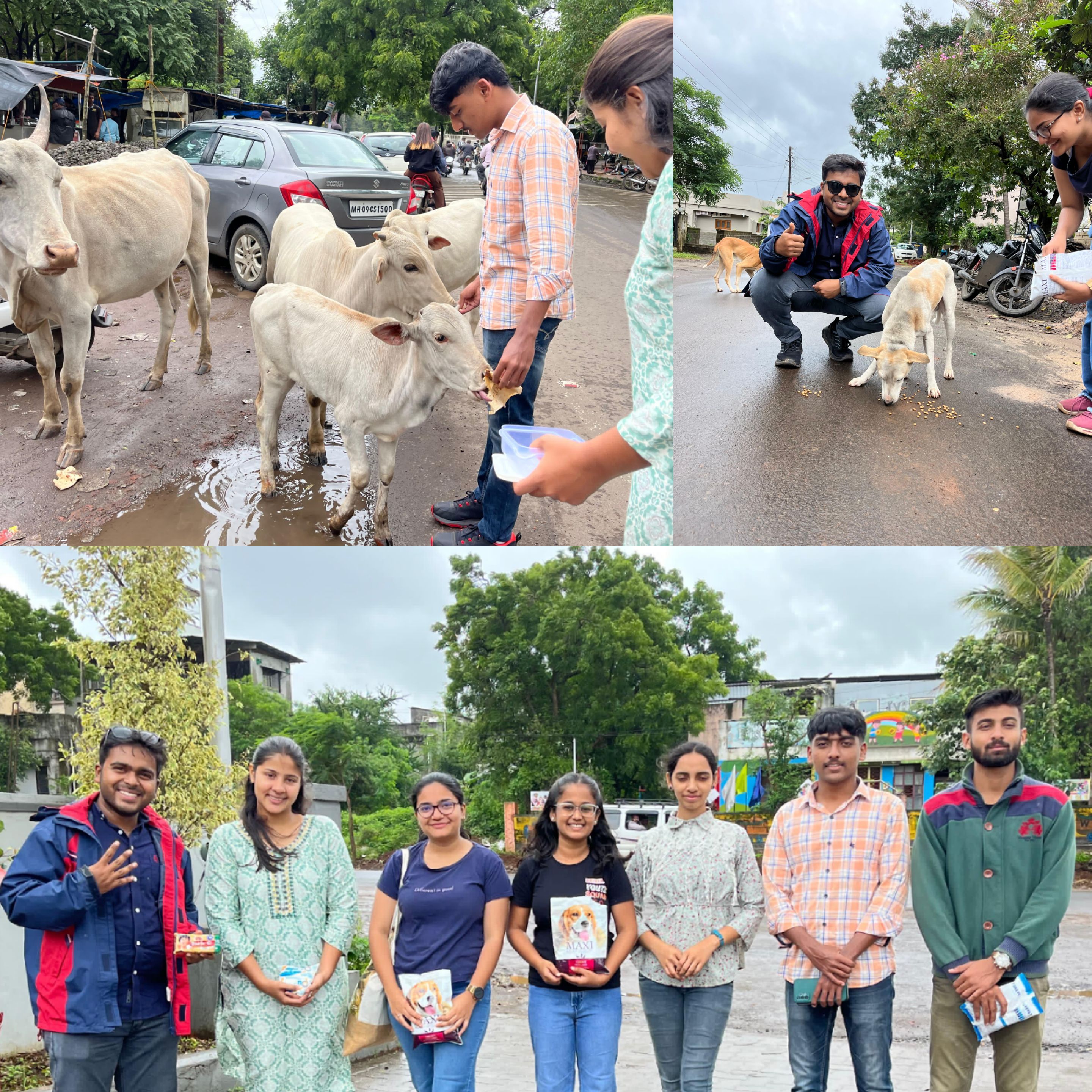 Friendship Day with Animals 